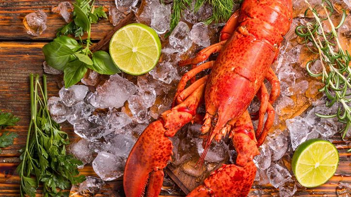 Kochkurs in der Kochschule Kochateliers am Samstag, 07. Februar 2026: Die Hummer-Nummer