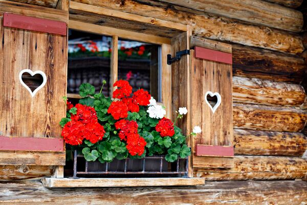 Berghütte Fenster mit Geranien, Holzhütte und Fensterläden mit Herz