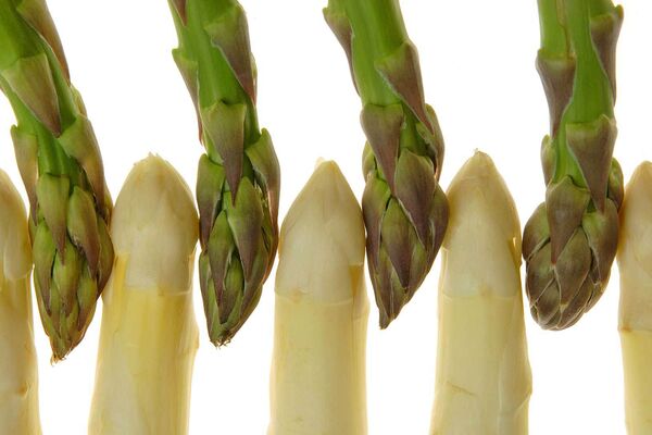 Spargel Gourmet