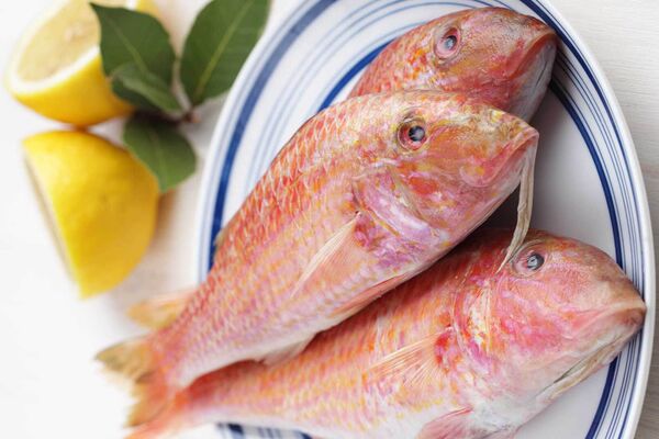 Mediterrane Fischküche wie im Urlaub
