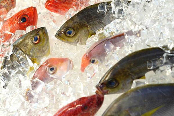 Butter bei die Fische