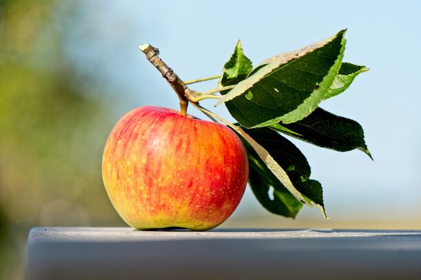 Lieblingsrezept: Apfel-Streusel Küchlein vom Grill