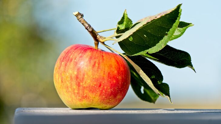 Apfel-Streusel Küchlein vom Grill