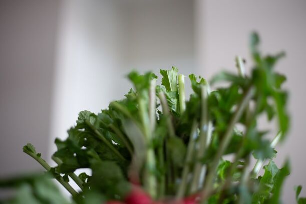 Lieblingsrezept: Gedünsteter Rucola