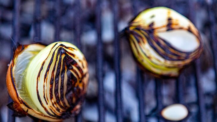 Gegrillter Fenchel