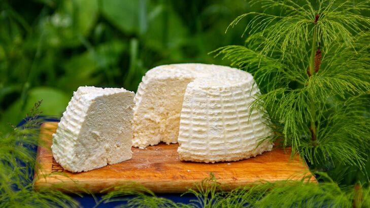 Gelato di Ricotta
