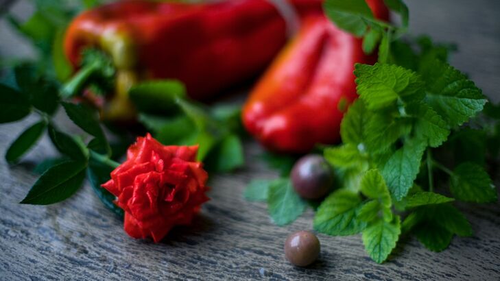 Geschmorte Paprika