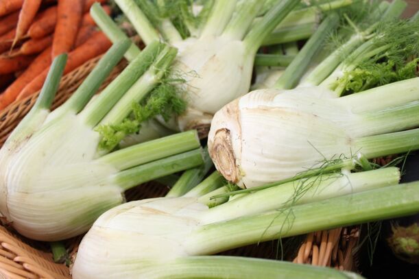 Lieblingsrezept: Geschmorter Fenchel