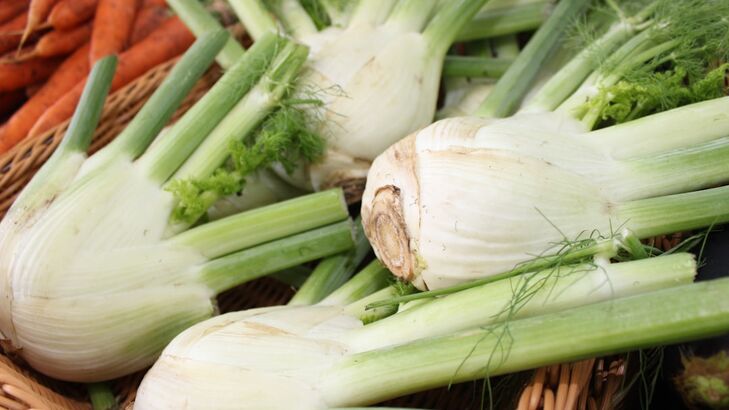 Geschmorter Fenchel