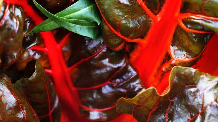 Geschmorter Radicchio