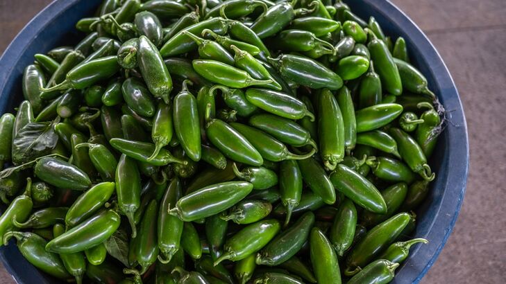 Jalapeño-Poppers
