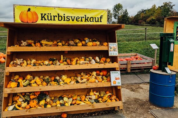Lieblingsrezept: Kürbis-Chutney