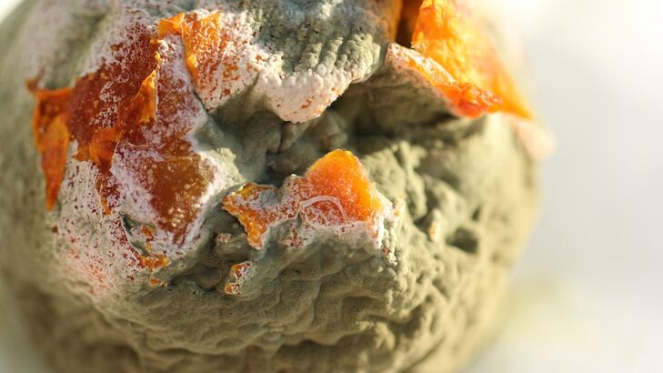 Orangen-Schmand Eis