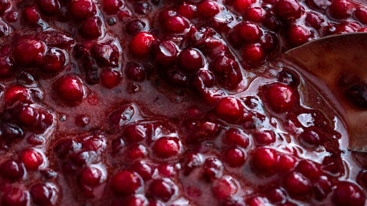 Preiselbeeren-Ketchup