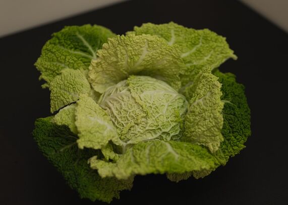 Lieblingsrezept: Rahmspitzkohl