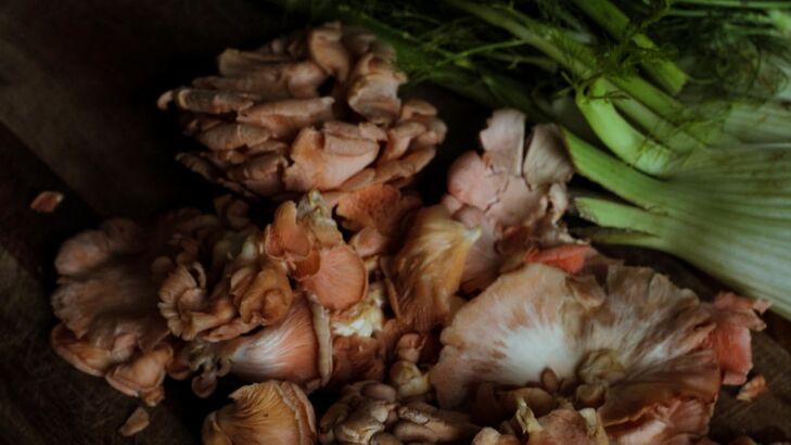 Rahmsüppchen vom Pfifferling mit Speck und Croutons