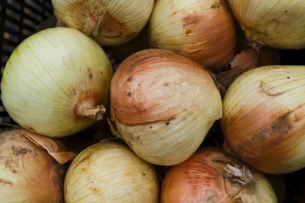 Lieblingsrezept: Red Onion Bacon-Bombs